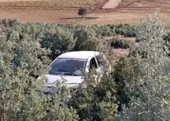 Avtomobil yol kənarına aşdı: Sürücü öldü