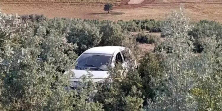 Avtomobil yol kənarına aşdı: Sürücü öldü