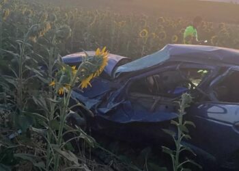 Avtomobil günəbaxan tarlasına aşdı: 3 yaralı