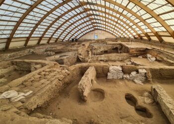 Türkiyənin Neolitik Çatalhöyük şəhərində qadın mərkəzli cəmiyyətin olduğu aşkarlandı