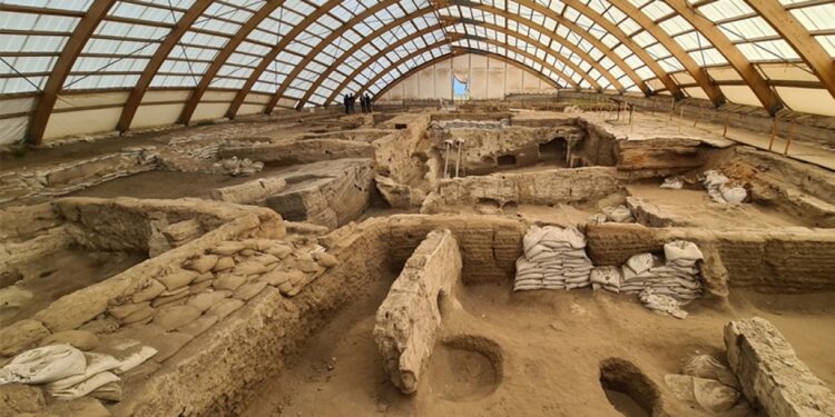 Türkiyənin Neolitik Çatalhöyük şəhərində qadın mərkəzli cəmiyyətin olduğu aşkarlandı