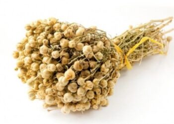 Nazirlikdən üzərliklə bağlı XƏBƏRDARLIQ