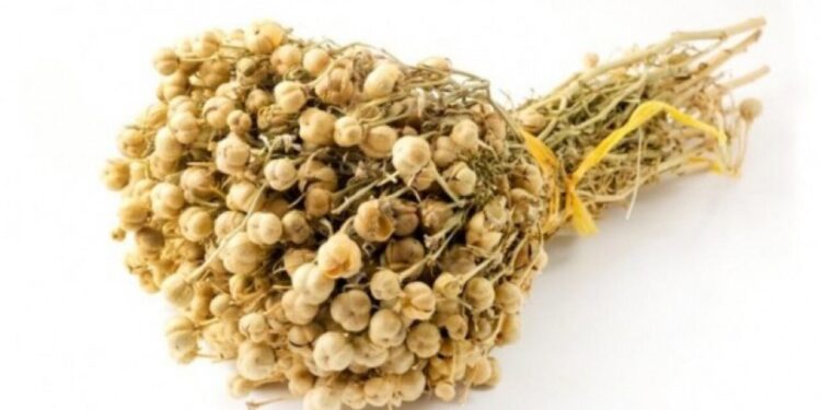 Nazirlikdən üzərliklə bağlı XƏBƏRDARLIQ