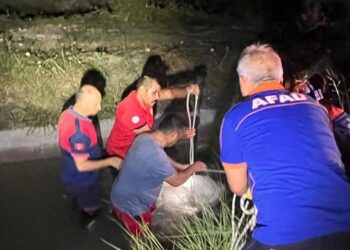 Avtomobil kanala aşdı: Sürücü öldü