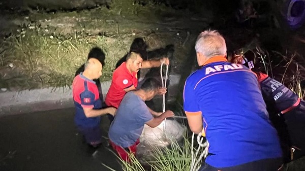 Avtomobil kanala aşdı: Sürücü öldü