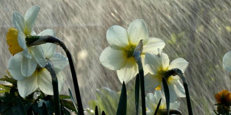Yağış yağacaq, şimşək çaxacaq - XƏBƏRDARLIQ