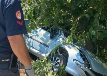 Avtomobil ağaca çırpıldı: 1 ölü, 2 yaralı