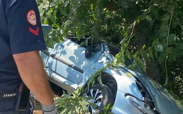 Avtomobil ağaca çırpıldı: 1 ölü, 2 yaralı