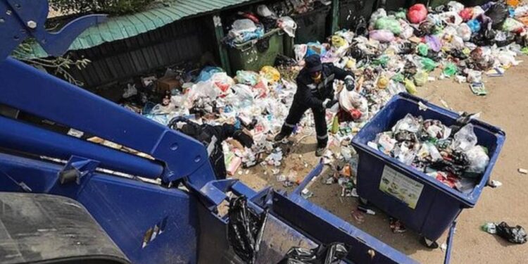 115 min manatı bilmədən zibilliyə atdı