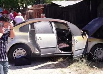 Quru otların yanması avtomobilə ziyan vurdu