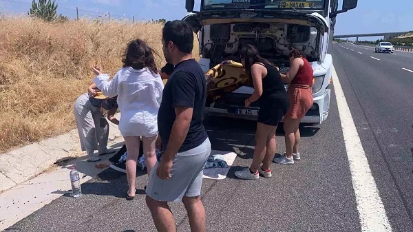 İki avtomobil toqquşdu: 4 yaralı