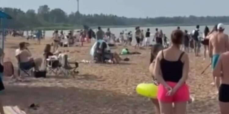 Çimərliyə yaxın məsafədən uçan təyyarənin pilotu saxlanıldı - VİDEO