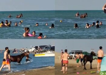 Pirşağıda atla dənizə girən şəxs o imiş – Məsuliyyətə cəlb olundu