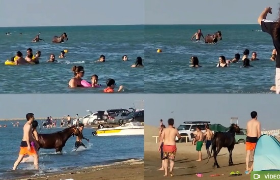 Pirşağıda atla dənizə girən şəxs o imiş - Məsuliyyətə cəlb olundu