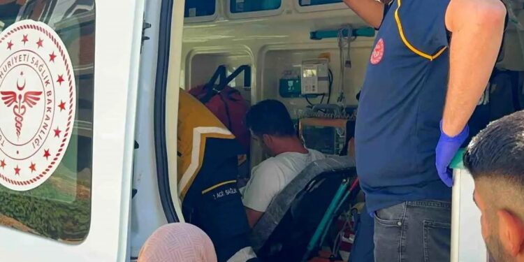 Minik avtomobili və yük maşını toqquşdu: 2 yaralı