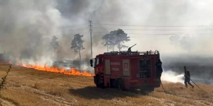 3 ev, 1 tölə, 1 avtomobil yanaraq külə döndü