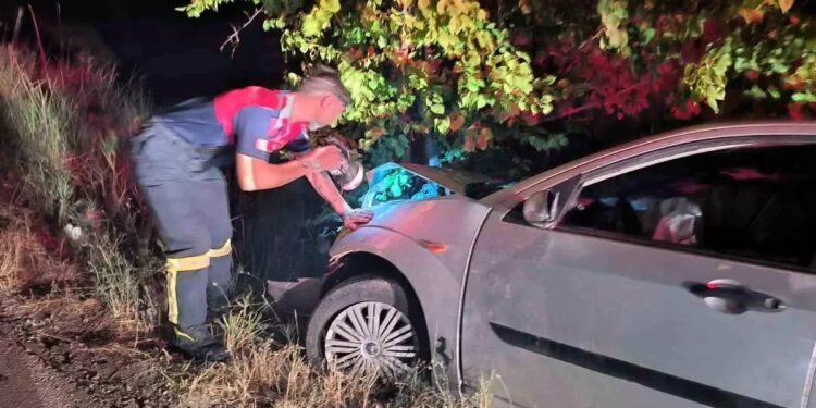 Avtomobil ağaca çırpılaraq aşdı: 2 yaralı