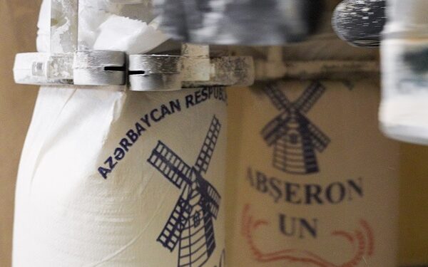 Yerli buğda emalında yeni rekord: “Agro Dairy” ərzaq təhlükəsizliyində liderliyini möhkəmləndirir