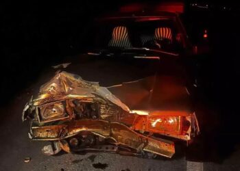 Minik avtomobili donuzu vurdu