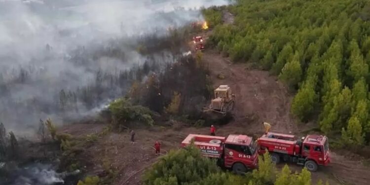 Türkiyədə meşə yanğınını söndürməyə gedən şəxs həlak oldu