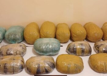 Külli miqdarda narkotik vasitənin ölkə ərazisinə kəçirilməsinin qarşısı alıb