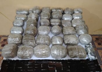 Külli miqdarda narkotik vasitənin ölkə ərazisinə keçirilməsinin qarşısı alınıb