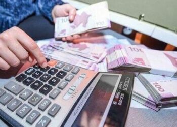 Azərbaycanda çoxuşaqlı olduğu üçün müavinət alan qadınların sayı açıqlandı