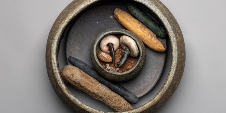 Türkiyənin Karahantepe abidəsində Neolit dövrünün ən böyük kəşfi – “İlk üçölçülü süjet”