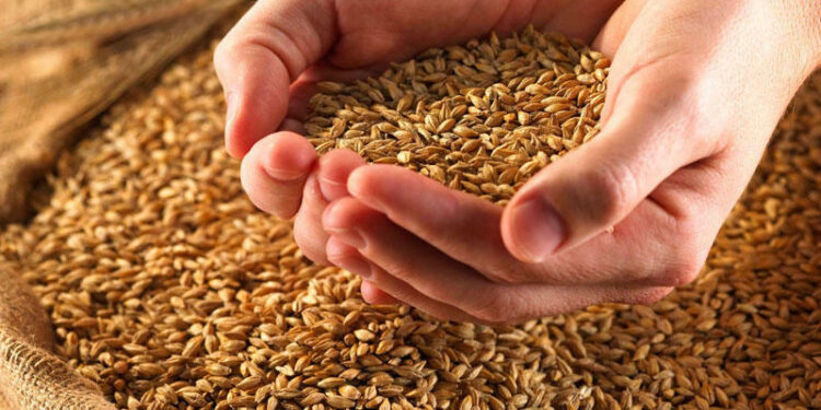 Azərbaycanın buğda idxalında ciddi artım - Rəy