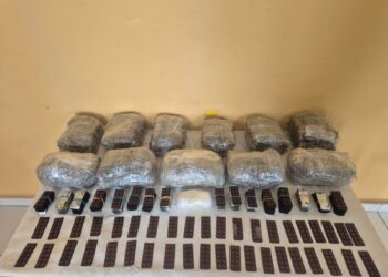 Külli miqdarda narkotik vasitənin ölkə ərazisinə keçirilməsinin qarşısı alının