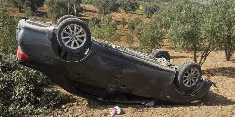 Avtomobil zeytun bağına aşdı:3 yaralı