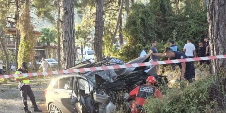 Avtomobil ağaca çırpıldı: 71 yaşlı sürücü öldü