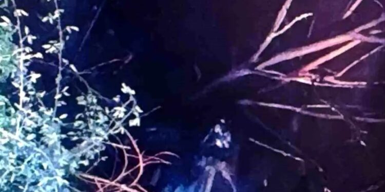 Avtomobil yol kənarına aşdı