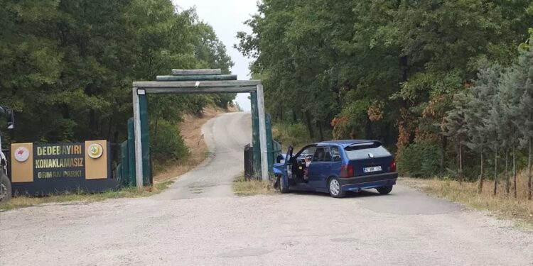 Avtomobil dirəyə çırpıldı: 4 yaralı