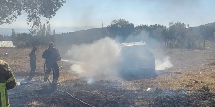 Avtomobil və zeytun ağacları yanıb