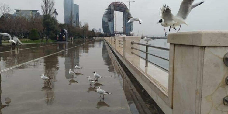 Sabah Bakıda yağış yağacaq