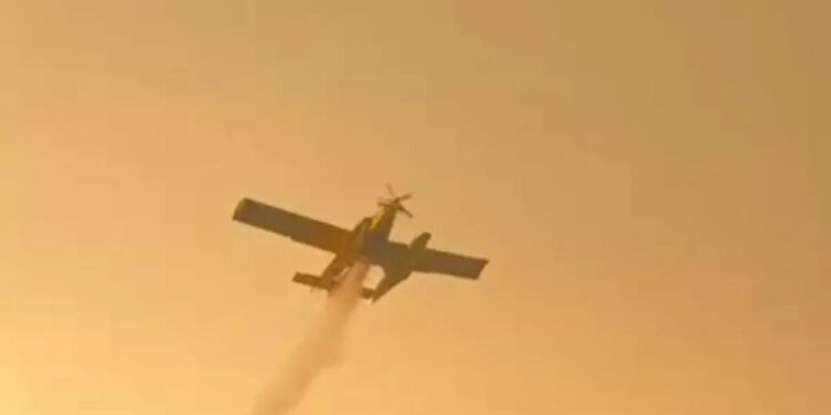 Türkiyədə meşə yanğının qarşısını ala bilinmir