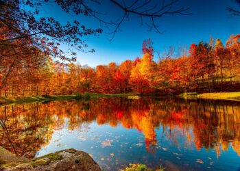 Azərbaycana payız fəsli daxil oldu