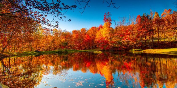 Azərbaycana payız fəsli daxil oldu