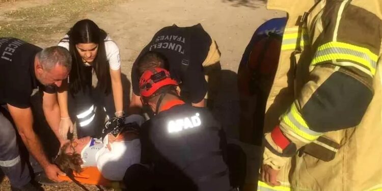 İki avtomobil toqquşdu: 5 yaralı