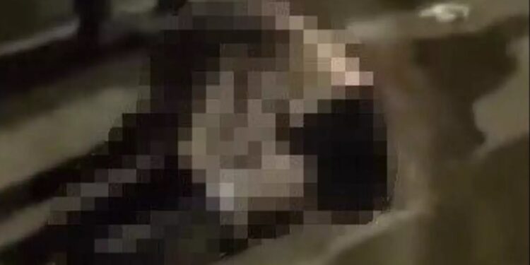 Avtomobil qadını vurdu