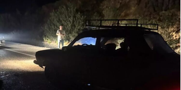 Avtomobil qoyun sürüsünə çırpıldı: 8 qoyun tələf oldu