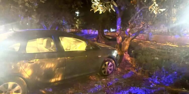 Avtomobil zeytun ağacına çırpıldı: 1 yaralı