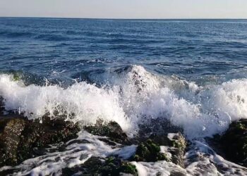 Güclü külək əsir – Dənizdə dalğanın hündürlüyü 4,2 metrə çatdı