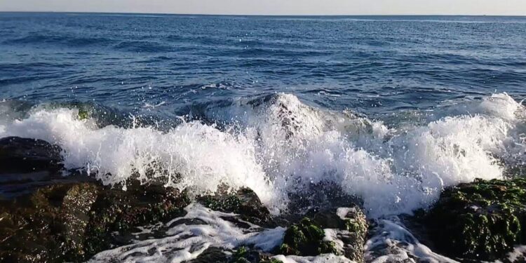 Güclü külək əsir - Dənizdə dalğanın hündürlüyü 4,2 metrə çatdı