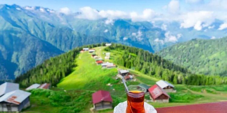 Türkiyənin payız möcüzələri: Bu əraziləri mütləq ziyarət edin