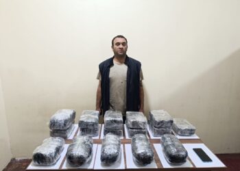 Külli miqdarda narkotik vasitənin ölkə ərazisinə keçirilməsinin qarşısı alınıb