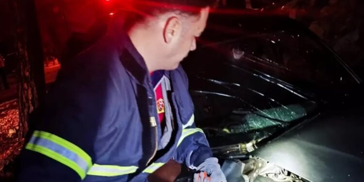 Avtomobil ağaca çırpıldı: 2 yaralı