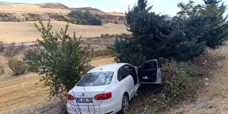 Avtomobil yol kənarına aşdı: 2 yaralı