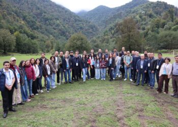 Astaranın Sım kəndinə mediatur təşkil edilib